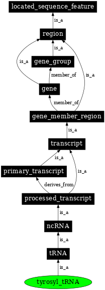 Graph image for SO:0000272
