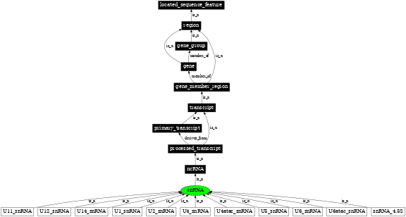 Graph image for SO:0000274