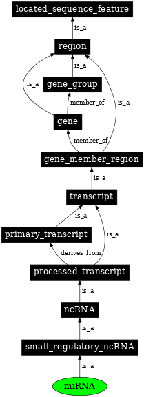 Graph image for SO:0000276