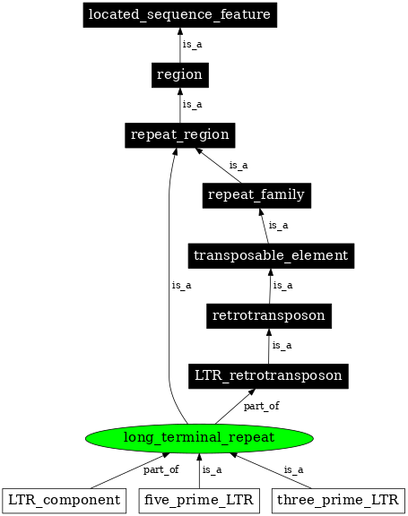 Graph image for SO:0000286