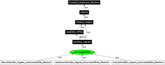 Graph image for SO:0000289