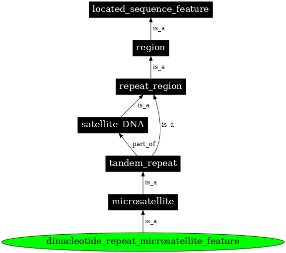 Graph image for SO:0000290