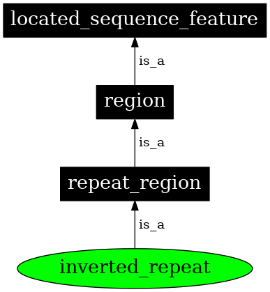 Graph image for SO:0000294