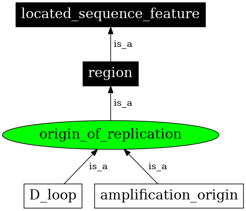 Graph image for SO:0000296