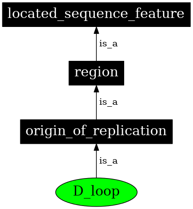 Graph image for SO:0000297