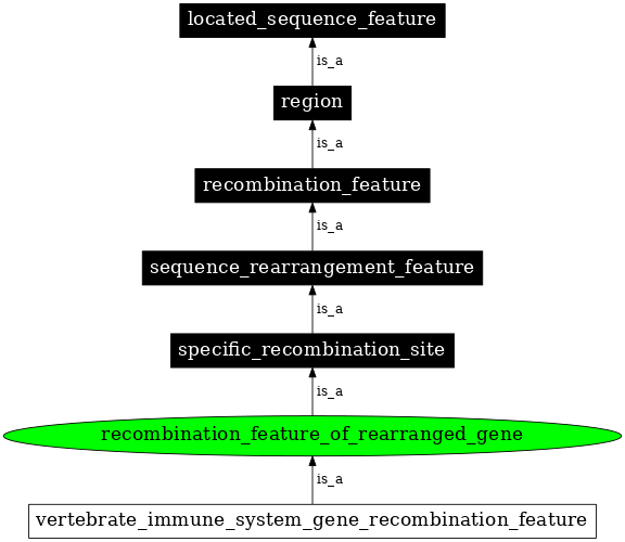 Graph image for SO:0000300