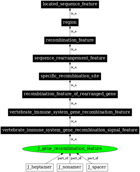 Graph image for SO:0000302