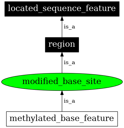 Graph image for SO:0000305