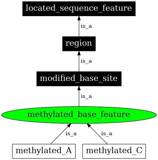 Graph image for SO:0000306
