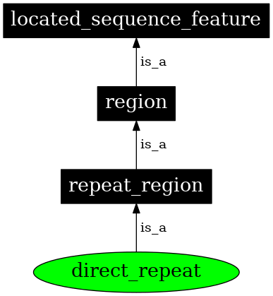 Graph image for SO:0000314