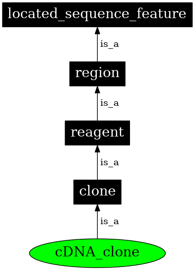 Graph image for SO:0000317