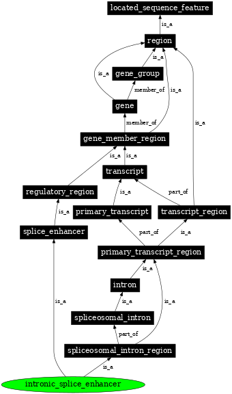 Graph image for SO:0000320