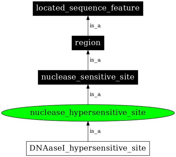 Graph image for SO:0000322