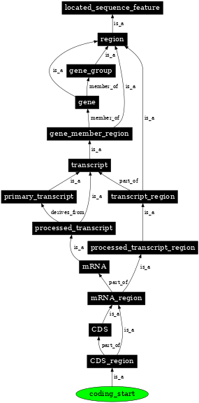 Graph image for SO:0000323