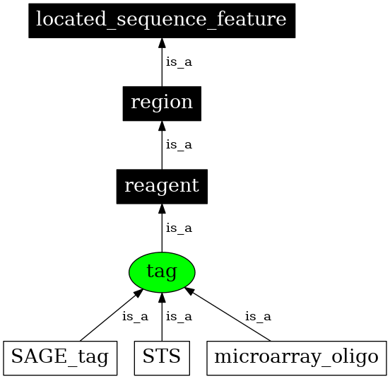 Graph image for SO:0000324