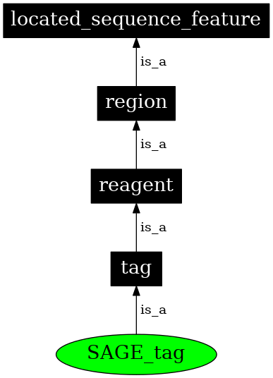Graph image for SO:0000326
