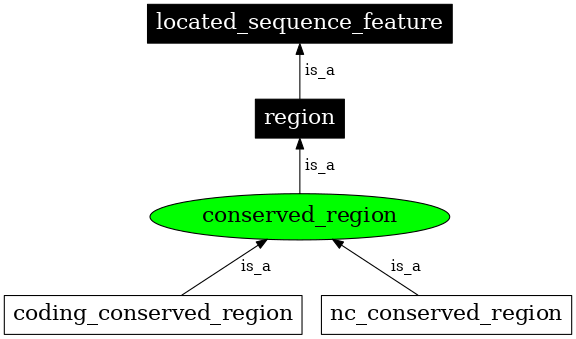 Graph image for SO:0000330