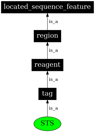 Graph image for SO:0000331