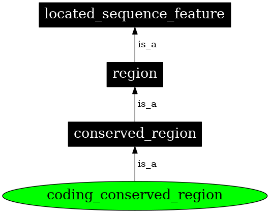 Graph image for SO:0000332
