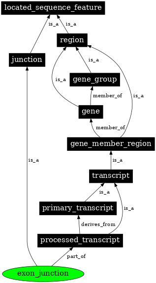 Graph image for SO:0000333