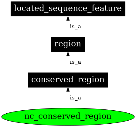 Graph image for SO:0000334
