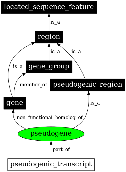Graph image for SO:0000336