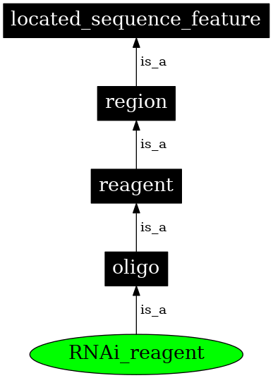 Graph image for SO:0000337