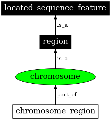 Graph image for SO:0000340