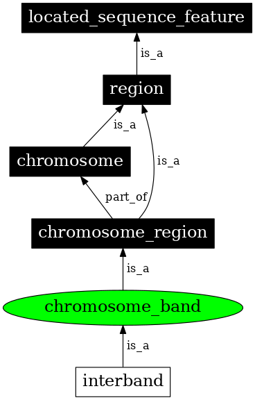Graph image for SO:0000341