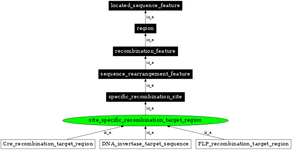 Graph image for SO:0000342