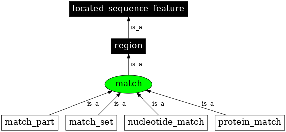 Graph image for SO:0000343