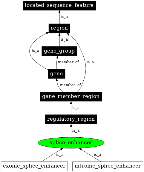 Graph image for SO:0000344