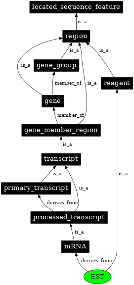 Graph image for SO:0000345
