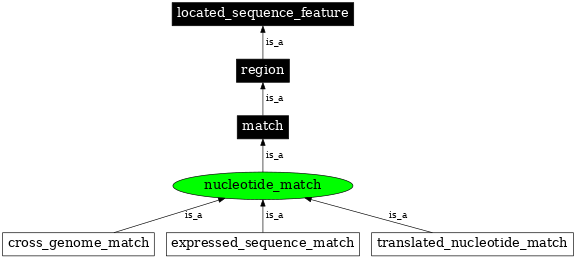 Graph image for SO:0000347