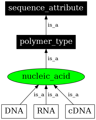 Graph image for SO:0000348