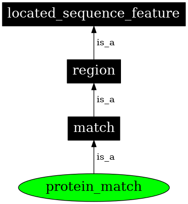 Graph image for SO:0000349