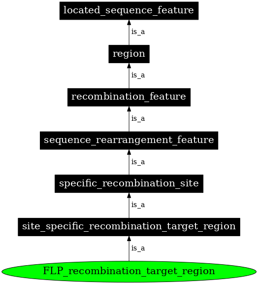 Graph image for SO:0000350
