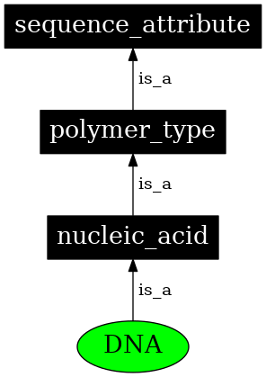 Graph image for SO:0000352