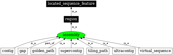 Graph image for SO:0000353