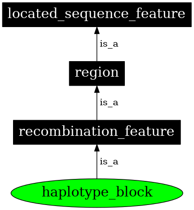 Graph image for SO:0000355