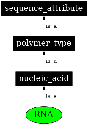 Graph image for SO:0000356