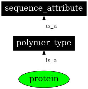 Graph image for SO:0000358