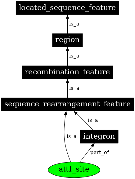 Graph image for SO:0000367