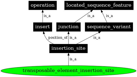 Graph image for SO:0000368