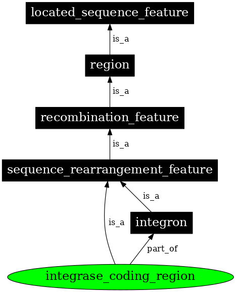 Graph image for SO:0000369