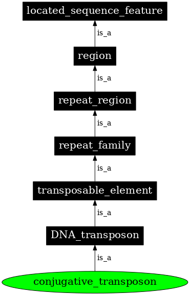 Graph image for SO:0000371
