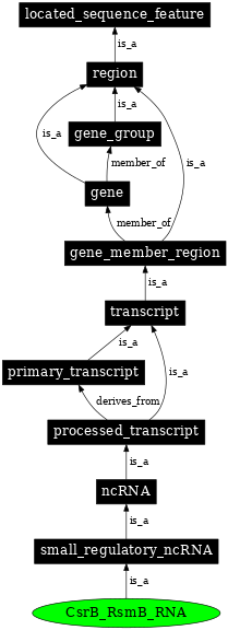Graph image for SO:0000377
