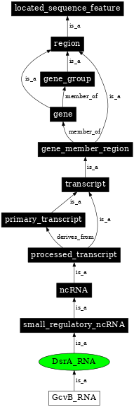 Graph image for SO:0000378