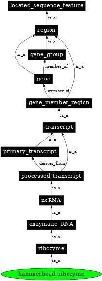 Graph image for SO:0000380