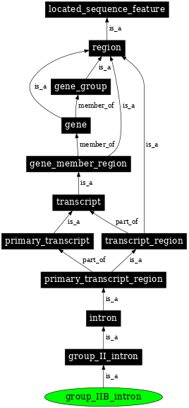 Graph image for SO:0000382